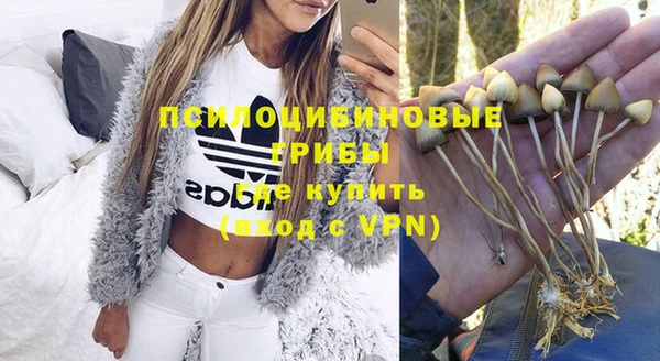 хмурый Медвежьегорск