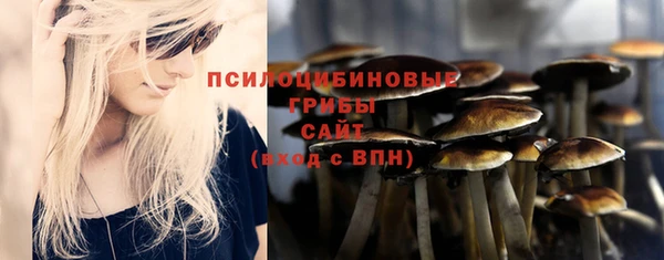 соль ск Мегион