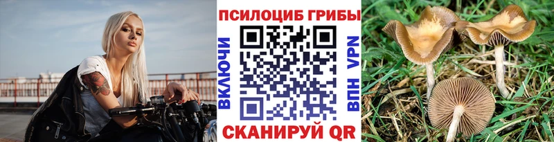 Купить закладки  Коммунар  Псилоцибиновые грибы Magic Shrooms 